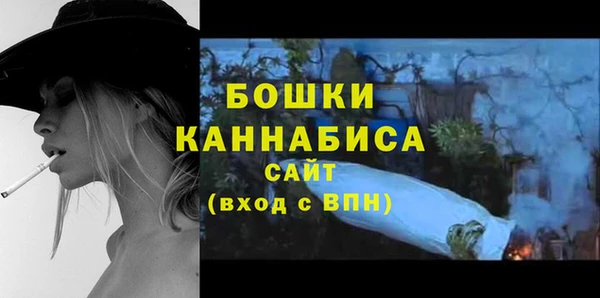 дживик Белокуриха