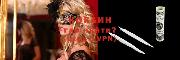 дживик Белокуриха