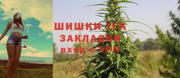 дживик Белокуриха
