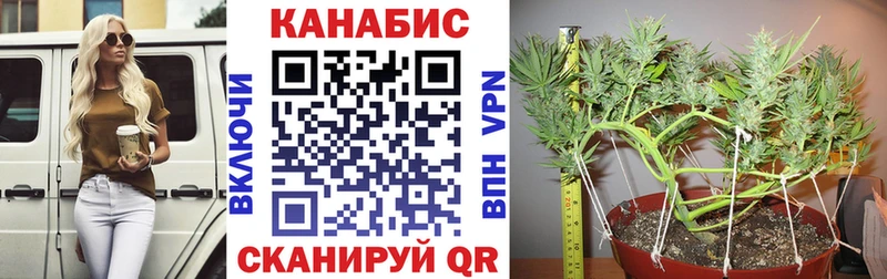 Каннабис Amnesia  Маркс 